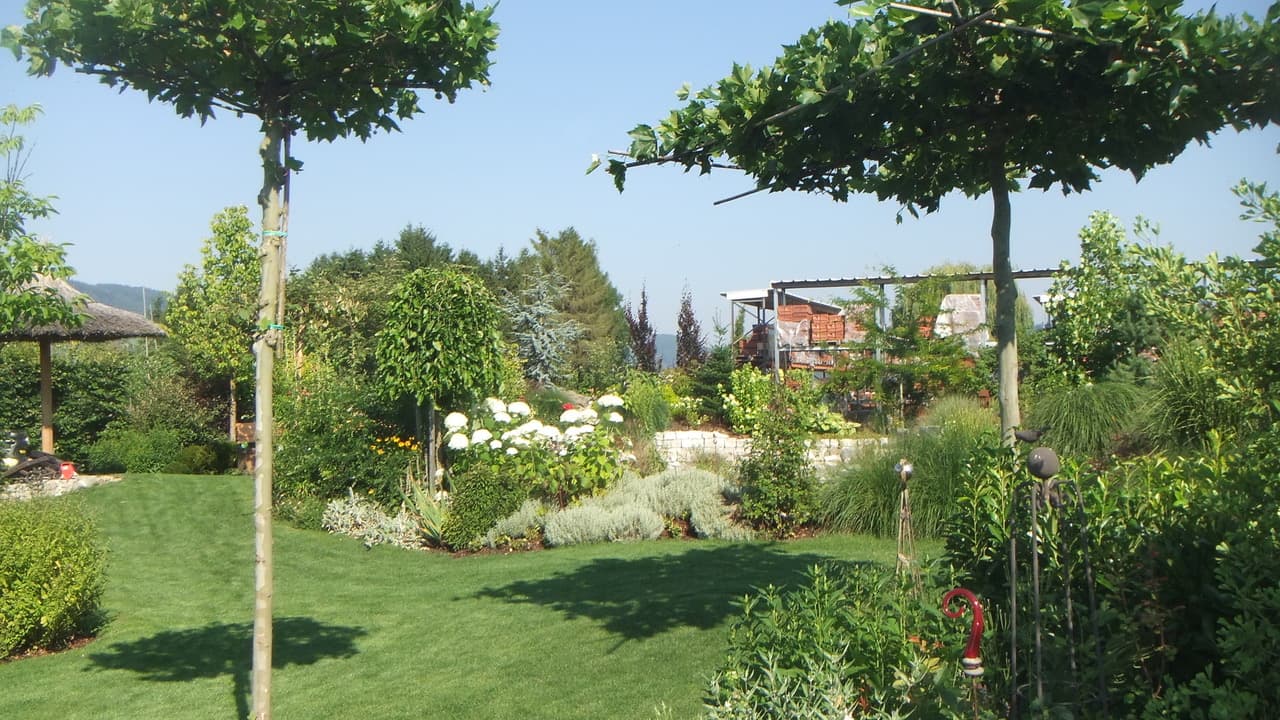 Garten mit Bäumen und Rasenfläche